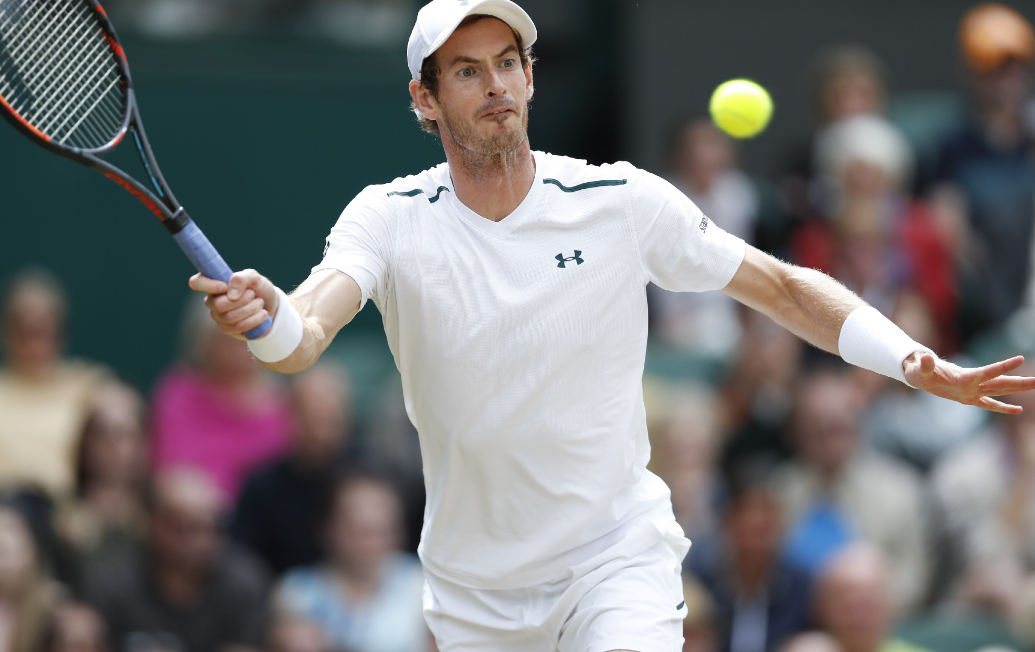 PG电子-关于穆雷迎来七赛季高光表现，日本队球迷沸腾！的信息